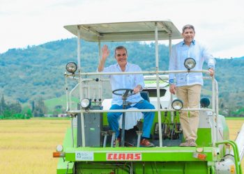 Presidente Abinader inaugurará escuela básica y dará inicio a la cosecha de arroz en Monseñor Nouel, este sábado