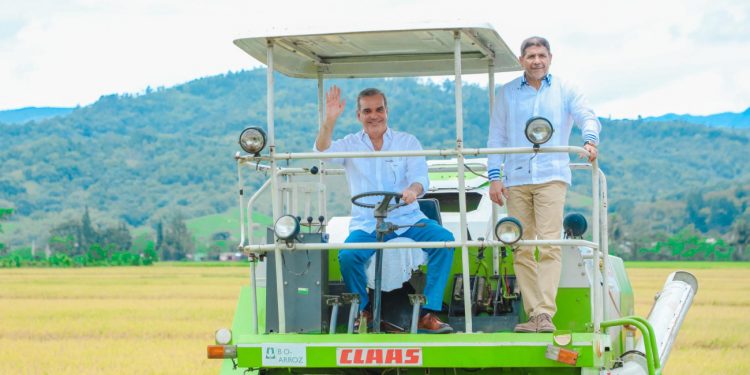 Presidente Abinader inaugurará escuela básica y dará inicio a la cosecha de arroz en Monseñor Nouel, este sábado