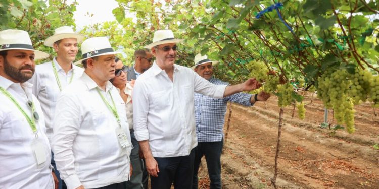 Abinader visitará las provincias Espaillat y San Cristóbal este jueves