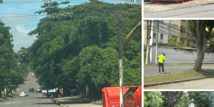 La alcaldía de Santiago mantiene un eficiente servicio de recogida de basura