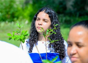Alcaldía de Santiago, Medio Ambiente e ISFODOSU realizan jornada de limpieza, reforestación y acondicionamiento en la avenida Yapur Dumit