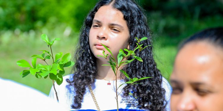 Alcaldía de Santiago, Medio Ambiente e ISFODOSU realizan jornada de limpieza, reforestación y acondicionamiento en la avenida Yapur Dumit
