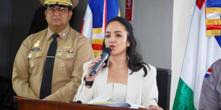 Ninguna banda criminal domina el territorio dominicano, dice Faride Raful