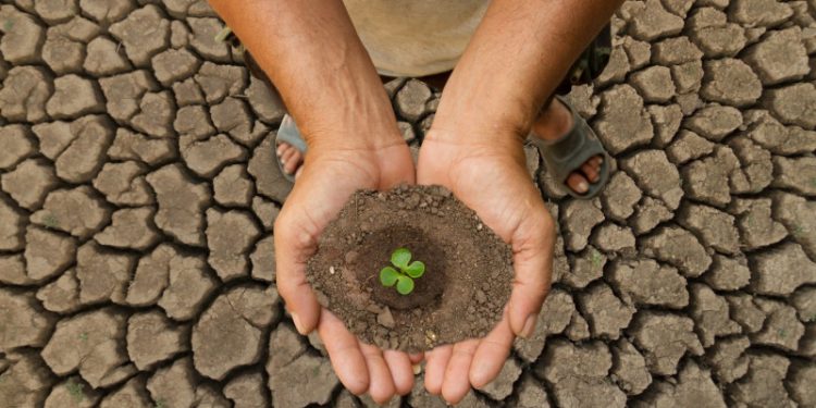 Cambio climático recibe menos del 10% del gasto ambiental en RD, según la ONE