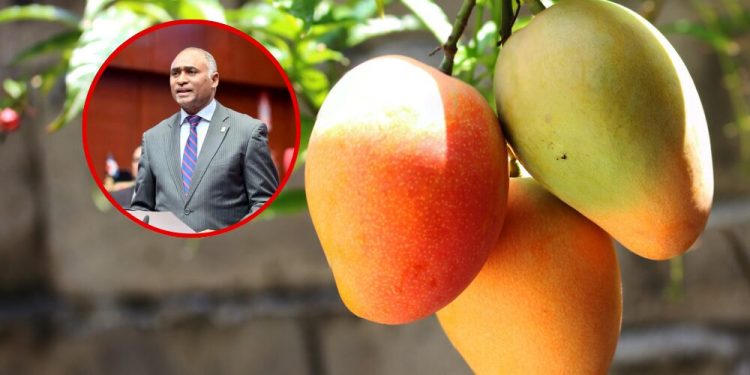 Baní ya es oficialmente la Capital del Mango: iniciativa del senador Julito Fulcar es aprobada