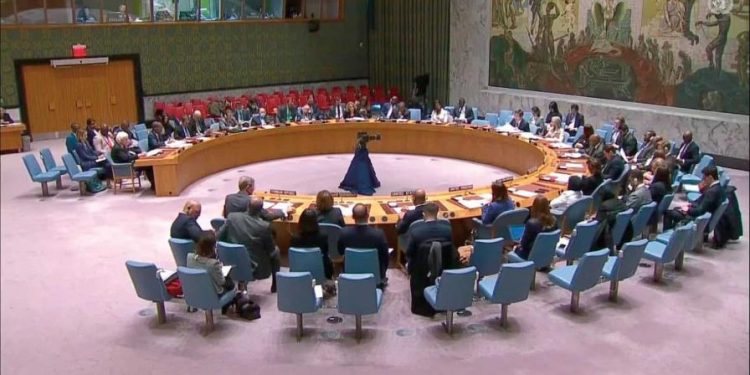 RD logra reunión clave del Consejo de Seguridad tras carta sobre Haití