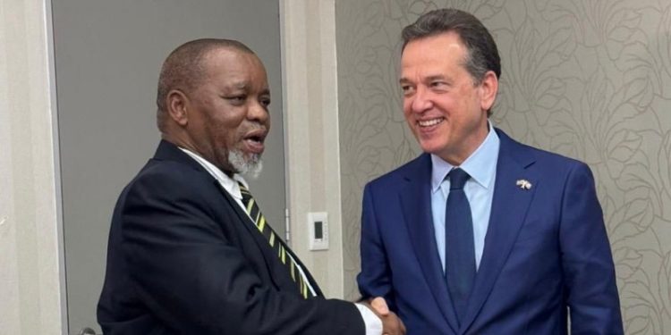 Gobierno explora cooperación con Sudáfrica para desarrollo de tierras raras en RD