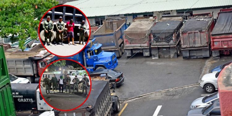 Detienen a ciudadanos e incautan camiones en operativos contra explotación ilegal de recursos naturales