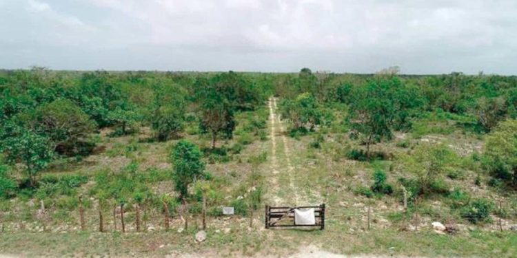 Tribunal Constitucional cierra las puertas al Aeropuerto Internacional de Bávaro