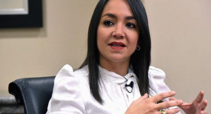 Faride Raful denuncia estructura organizada detrás de ataques difamatorios