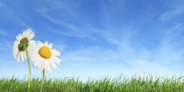 Semana laboral inicia con cielo soleado en gran parte del país