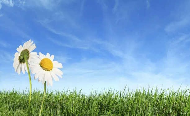 Semana laboral inicia con cielo soleado en gran parte del país