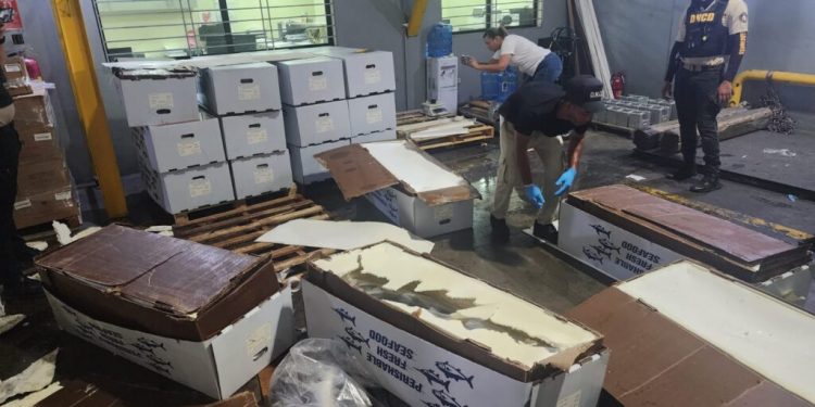 DNCD confisca en Aeropuerto del Cibao 58 kilogramos de cocaína