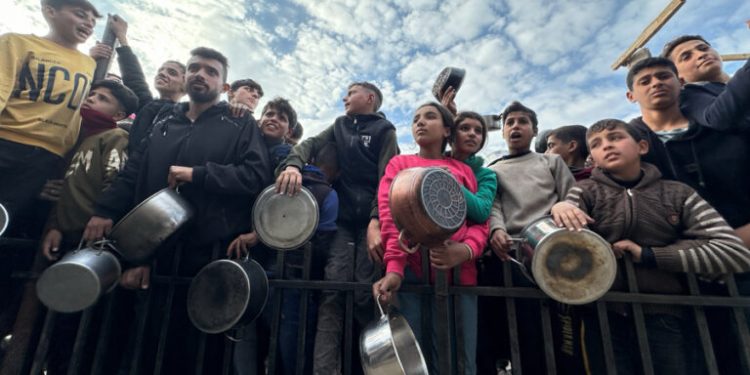 Gaza registra cuatro nuevas muertes por desnutrición; ya suman 239 desde 2023, según Sanidad