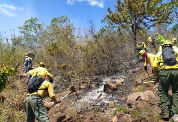 Autoridades someten a consulta pública reglamento para emergencias ambientales