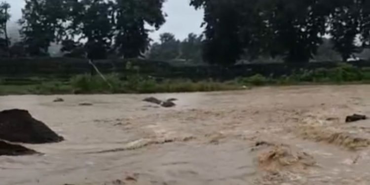 Crecida del río Nizao deja más de 20 comunidades incomunicadas en Rancho Arriba