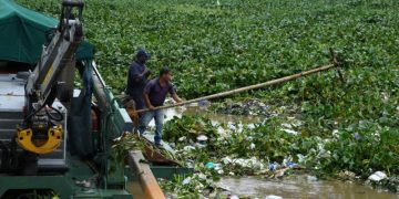 Continúan labores de limpieza en el Puente Flotante ante cúmulo de desechos tras el paso de Melissa