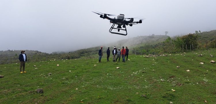 Restauración ecológica con drones: los buenos resultados del proyecto piloto implementado en el Parque Nacional Sierra de Bahoruco