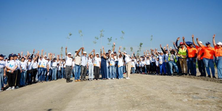 Voluntariado Banreservas siembra 1,500 caobas criollas en Navarrete durante el Mes de la Reforestación