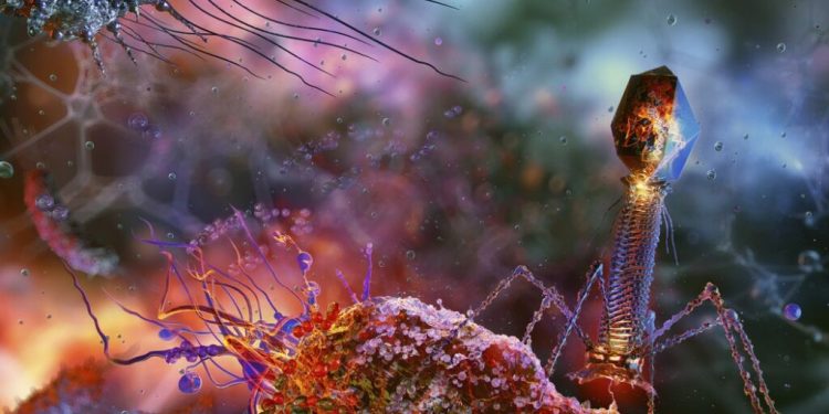 Captan las primeras imágenes de un antibiótico aniquilando bacterias en tiempo real