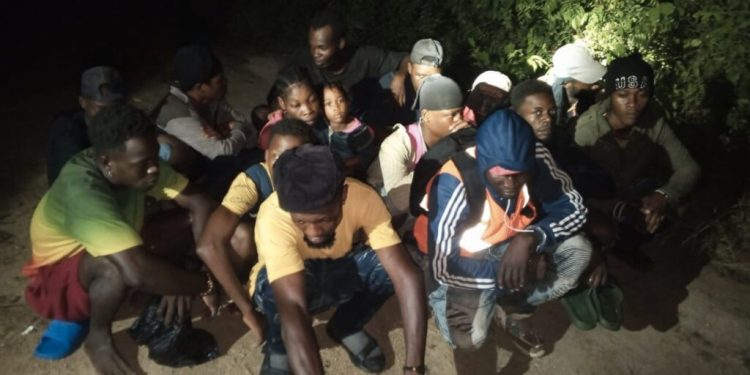 Ejército detiene a 19 migrantes haitianos en operativo de interdicción migratoria en Loma de Cabrera