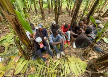 Ejército ocupa motocicletas utilizadas para transporte ilegal de extranjeros y detiene a 11 haitianos indocumentados en Mao