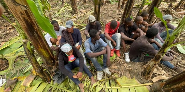 Ejército ocupa motocicletas utilizadas para transporte ilegal de extranjeros y detiene a 11 haitianos indocumentados en Mao