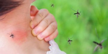 Tres provincias registran el 95% casos de malaria