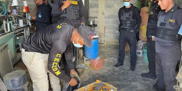 Desmantelan en la RD una red que falsificaba medicamentos