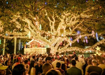 Alcalde Ulises Rodríguez enciende la Navidad con la apertura del Bosque Encantado ‘Encantus’