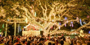 Alcalde Ulises Rodríguez enciende la Navidad con la apertura del Bosque Encantado ‘Encantus’