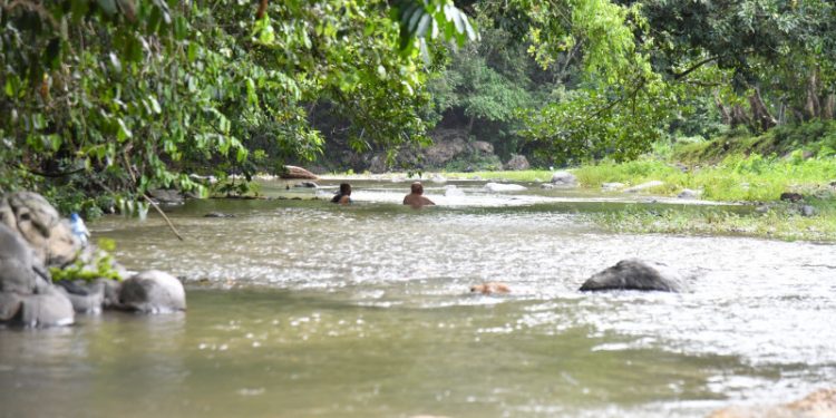 Arroyos de La Cuaba son parte de las áreas protegidas del Parque Nacional Loma Los Siete Picos