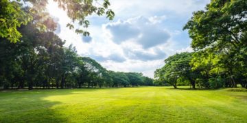 Día soleado y temperaturas frescas para este jueves de Navidad