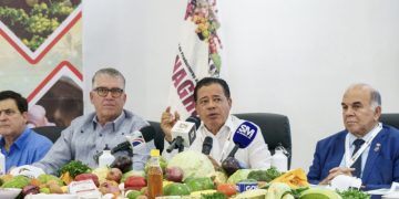 Respaldan frenar importaciones de limón por plagas