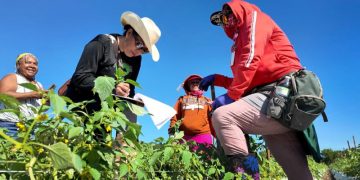 Trump propone reducir salarios a campesinos con visa H-2A