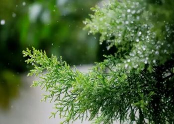 Indomet pronostica lluvias en varias provincias durante la víspera de Navidad