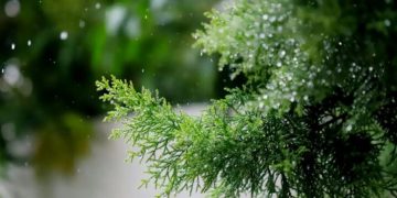 Indomet pronostica lluvias en varias provincias durante la víspera de Navidad