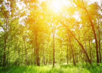 Indomet pronostica buen tiempo en RD para este último lunes del año