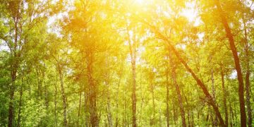 Indomet pronostica buen tiempo en RD para este último lunes del año