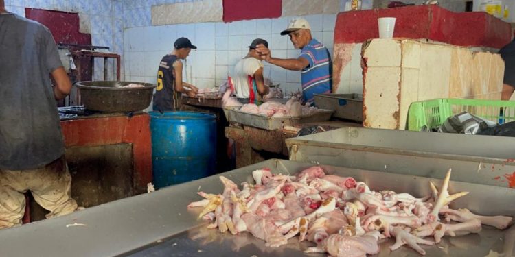 Pollo se vende entre 80 y 85 pesos la libra en el Hospedaje Yaque