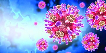 Emiten alertas sanitarias en aeropuertos de EE.UU. por el Virus Nipah