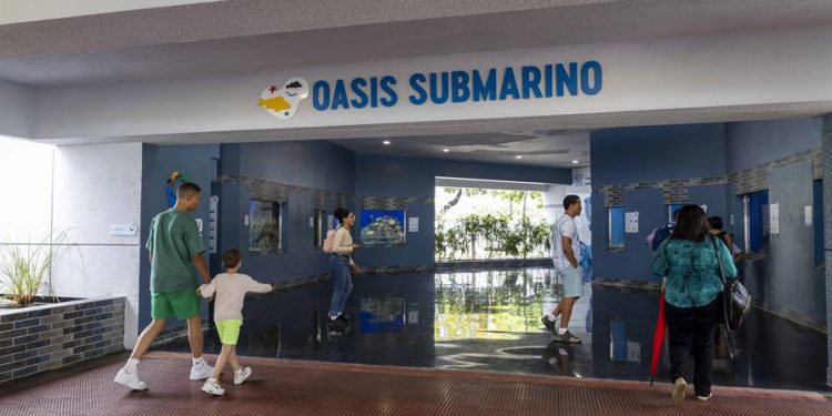 Acuario Nacional reintrodujo más de 1,300 especies a su hábitat natural durante el 2025