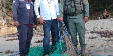 Cocodrilo que había escapado en Puerto Plata fue encontrado con vida