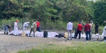 Inacif quema más de 8 toneladas de drogas en primer trimestre del año 2026