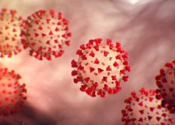 Aconsejan precaución y vigilancia ante nueva variante del Covid-19