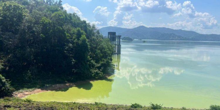 Lluvias ayudan a limpiar agua de la presa de Hatillo