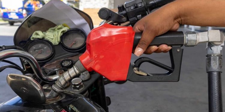 Gobierno tendrá que ajustar precios de los combustibles ante presión internacional
