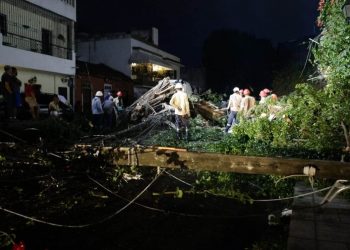 Vehículos destruidos, árboles y postes eléctricos caídos por lluvias en el Gran Santo Domingo
