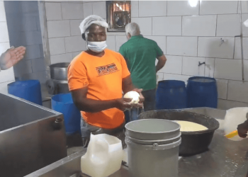 Clausuran fábrica de quesos en Santiago por violar normas de higiene