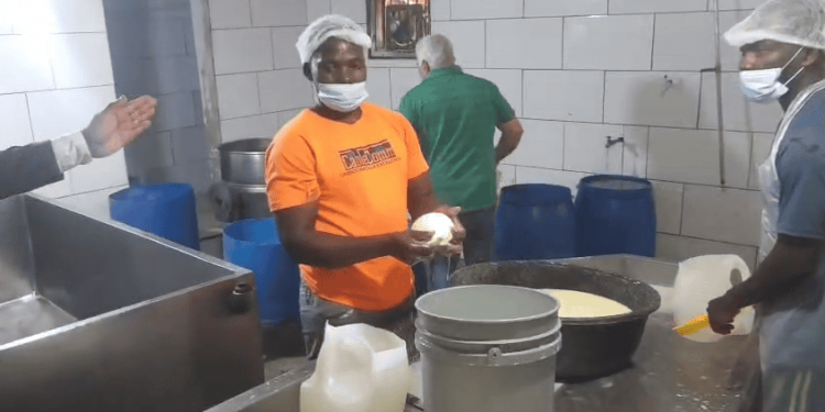 Clausuran fábrica de quesos en Santiago por violar normas de higiene